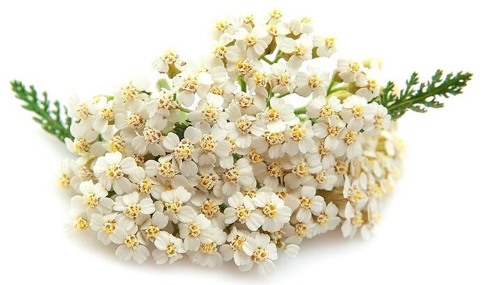 Gelarex sudėtyje yra tūkstantis lapų